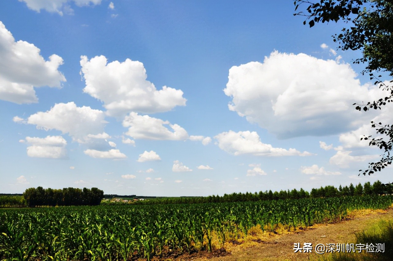 你还记得小时候的故乡吗,你还记得小时候的旧照片吗