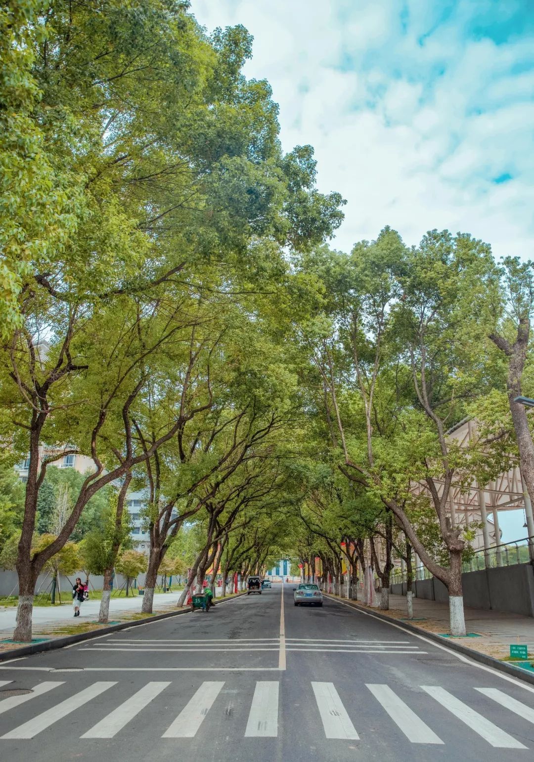 婀栧崡闀挎矙姘戞斂瀛﹂櫌,闀挎矙姘戞斂鑹烘湳瀛﹂櫌