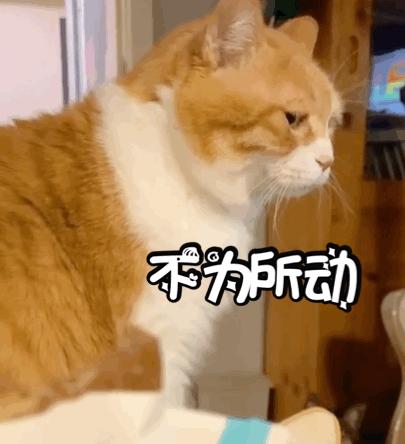 中老年人直播购物防骗指南,中老年人防骗短片