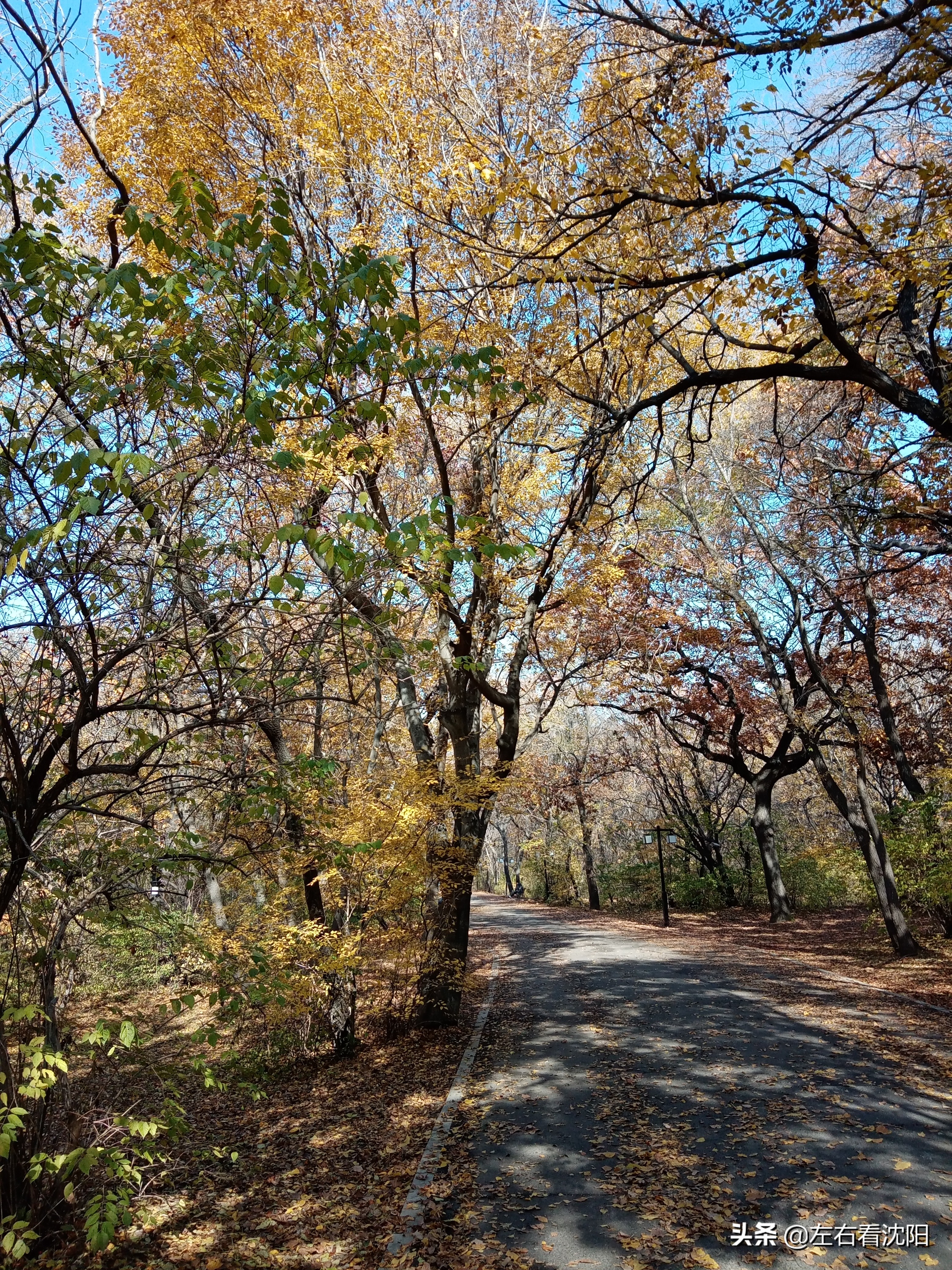 秋季沈阳北陵公园有啥好玩的,漫步沈阳北陵公园湖水边