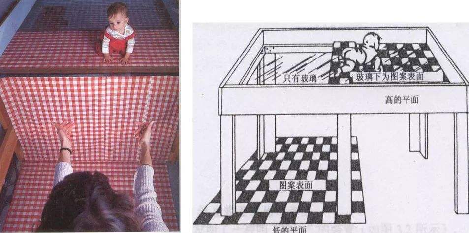 小女孩看到狗狗就害怕,看见小动物就特别恐惧是病吗