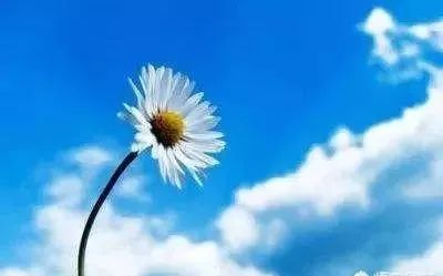 如果有一天你发现你爱的人变心了,如果有一天你发现你爱的人坑了你