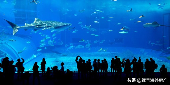 迪拜26个景点营业时间、门票价格及乘车路线大盘点