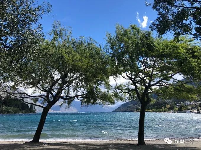 新西兰自驾游需要注意什么,新西兰自驾游要带什么东西