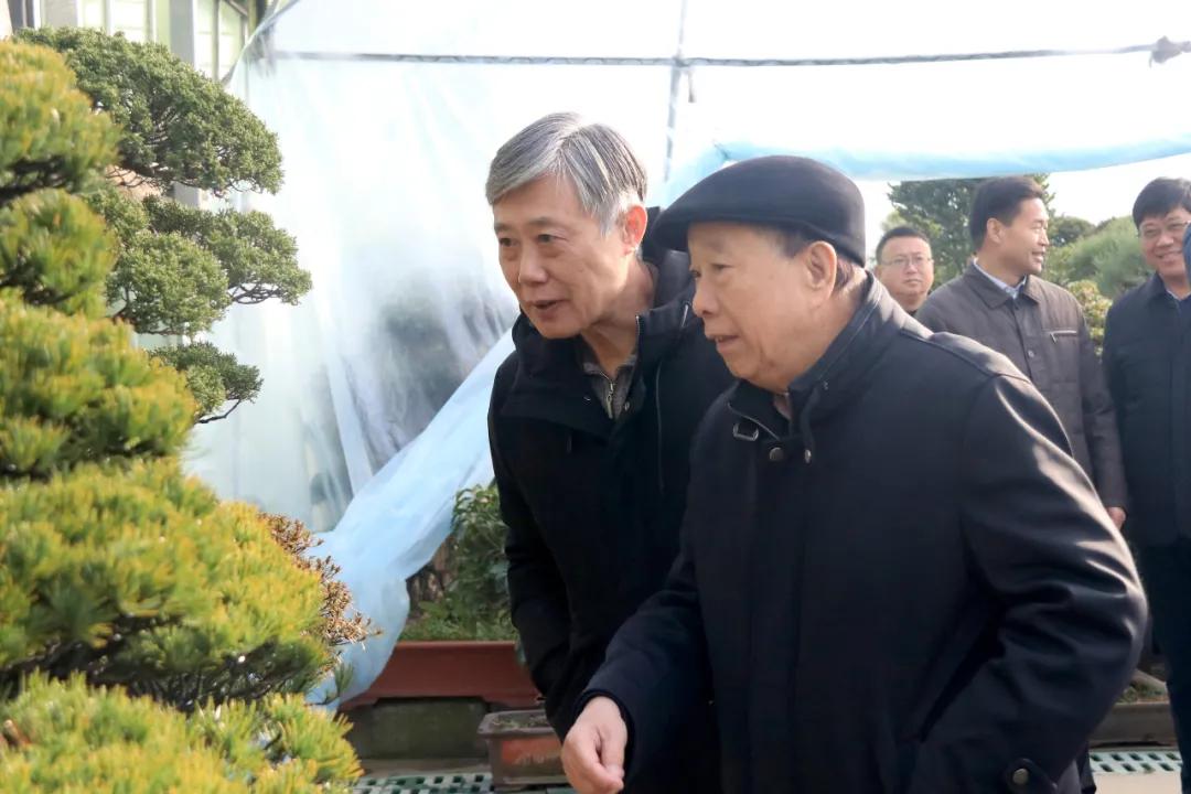 中国沭阳国际花木城在哪个城市,沭阳花木城的发展