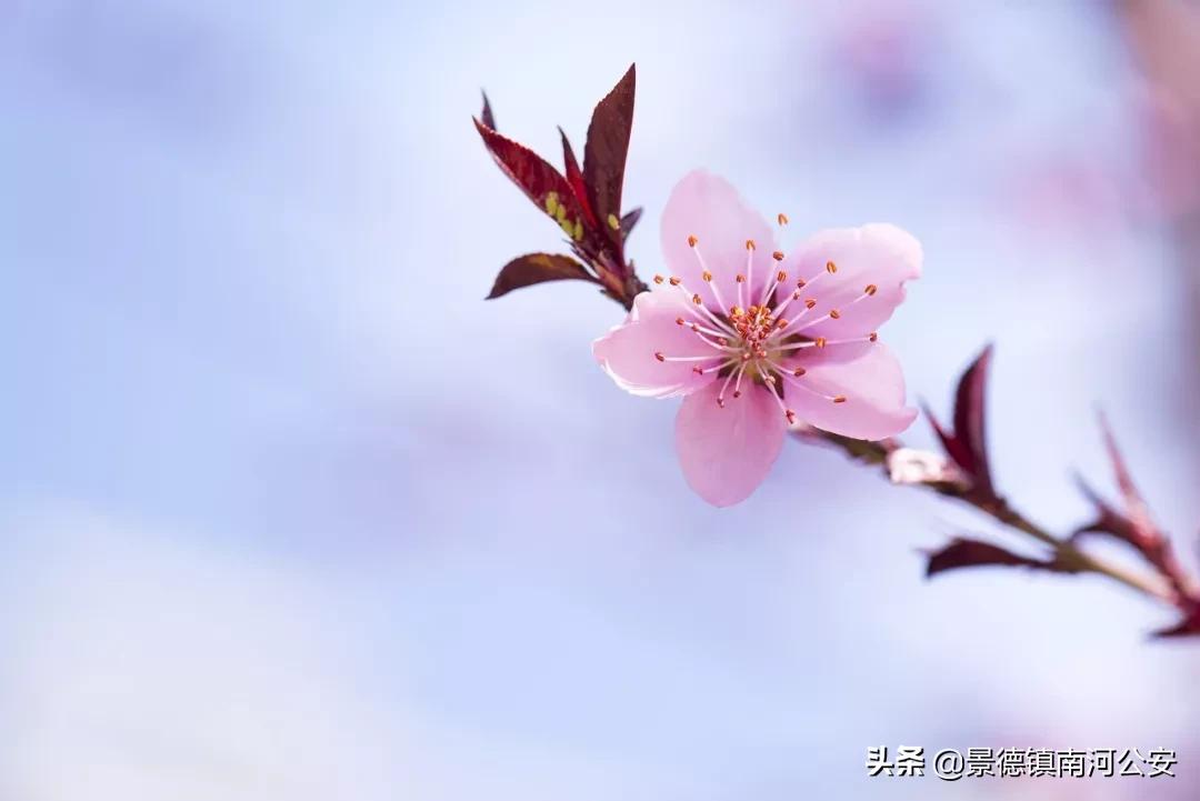 愿你过得好的诗词,苦尽甘来不负年华不负卿什么意思