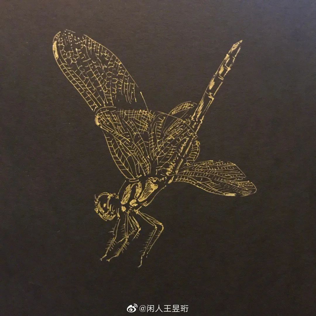 王昱珩不上班做到财富自由,最强大脑王昱珩清华毕业后不上班