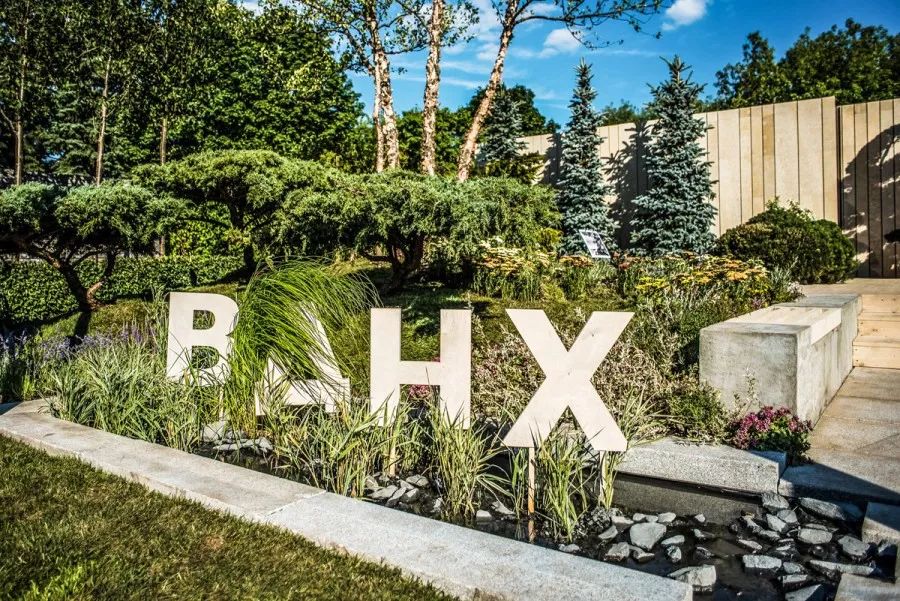 文字带来的魅力,奇特文字符号