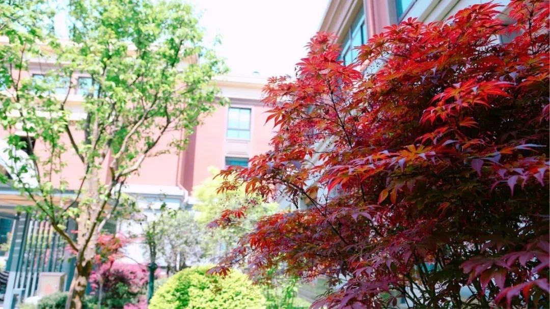 河南省实验学校许昌中学官网,2017许昌实验中学招生