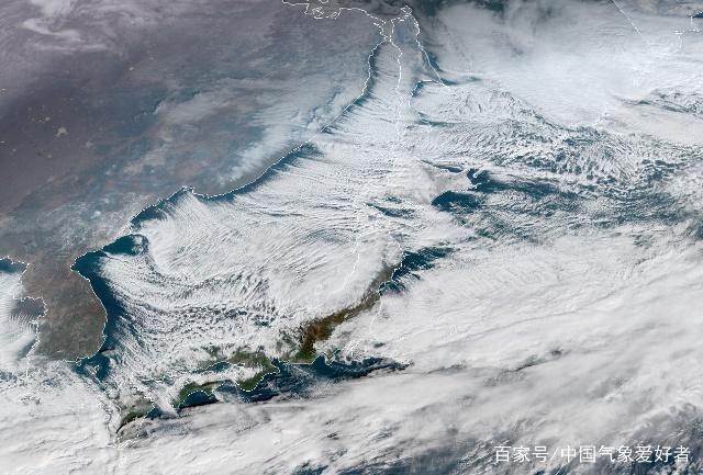 胖人大码男装冬装,胖人男装外套秋冬款高级感帅气