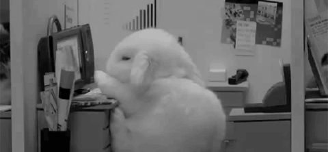 刘雯大包包推荐,刘雯同款豹纹包包