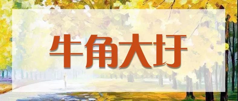 合肥秋季风景打卡地方排行榜,合肥最值得打卡地