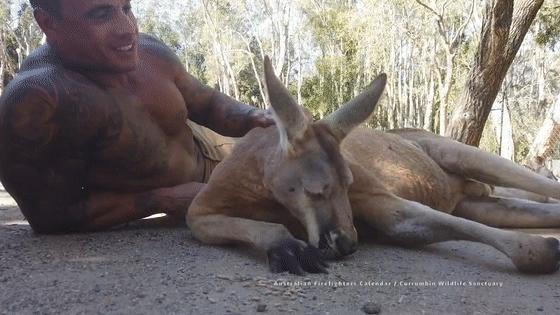 澳大利亚火场消防员,2018澳大利亚消防员