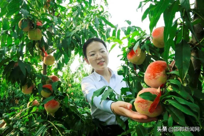 一带两抓三提升！2021年肥乡265个村要这样干