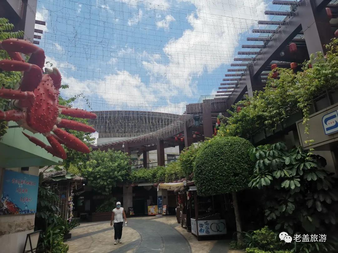 疫情下的海南旅游记录,疫情下三亚旅游