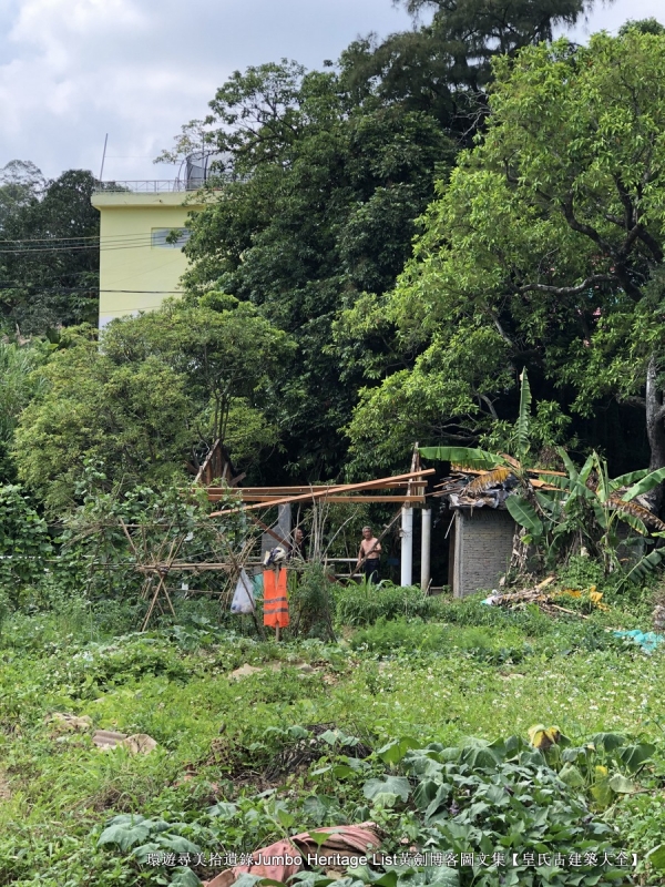 第1632回：金龟村被时光眷顾，坪头岭让田心山围