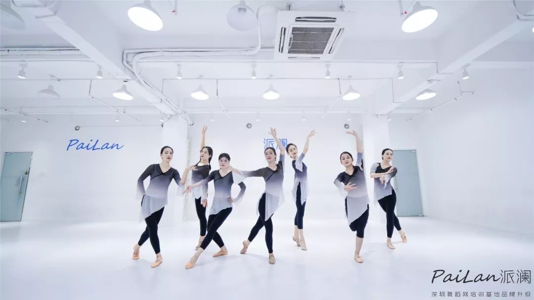 零舞蹈基础该怎么学舞,学跳舞的基本动作和步骤