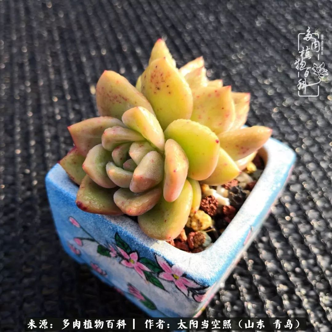 离家在外才发现最难忘的是故乡情,离家在外看见家乡的东西