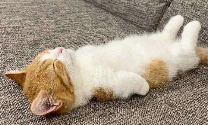 入睡困难失眠艾灸哪个部位最快,治疗失眠针灸艾灸视频