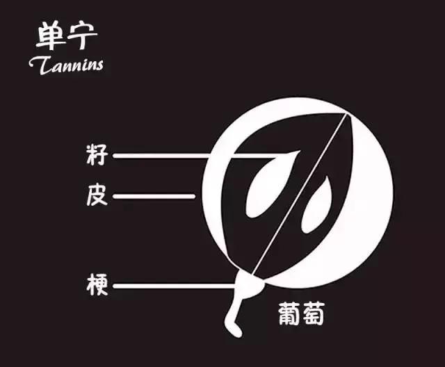 葡萄酒品酒知识,葡萄酒品酒大师