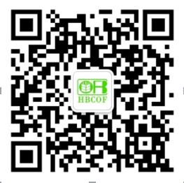 武汉各买菜平台,武汉买菜新方式