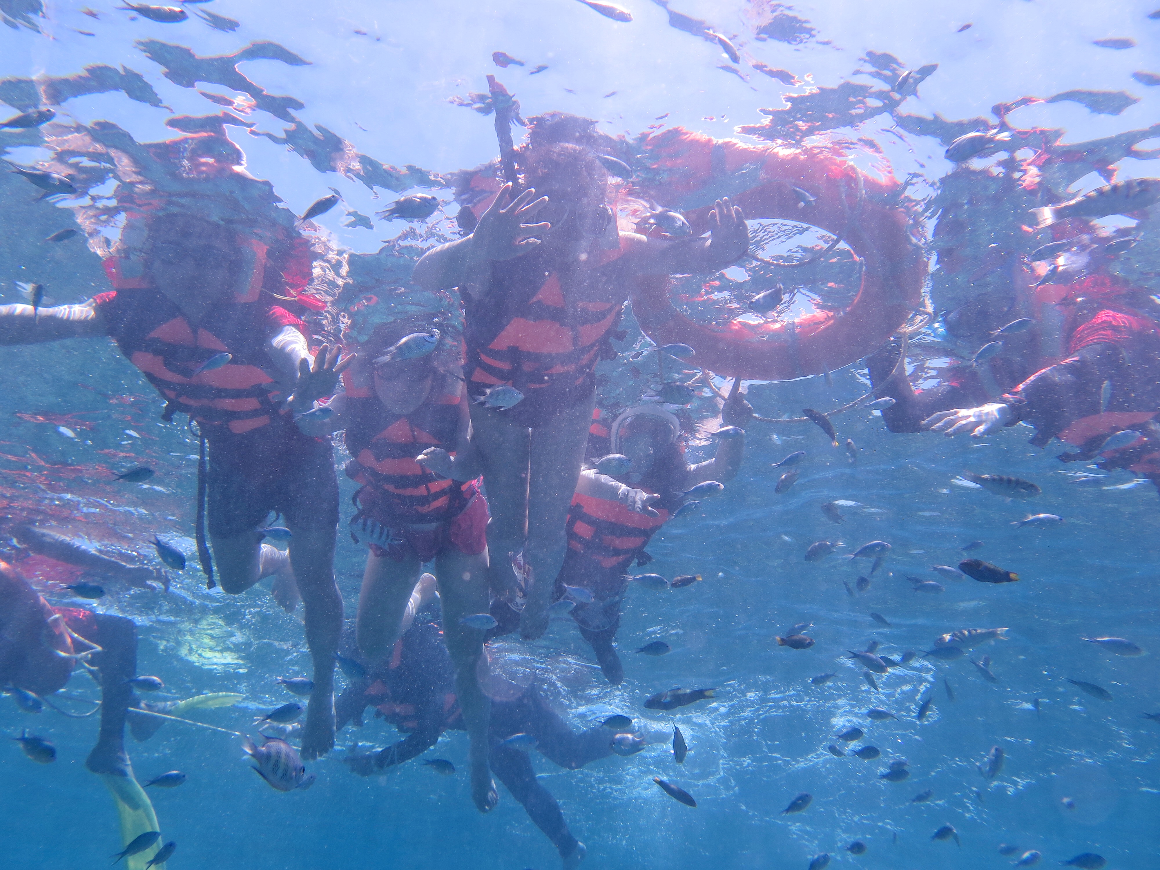 马来西亚沙巴6天5晚浪漫之旅,跟有趣的人在一起玩会有趣