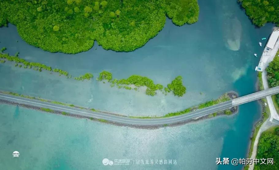 帕劳海岛潜水视频,帕劳这个国家是在一个岛屿上吗