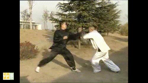 汤瓶七式拳视频全集,汤瓶七势拳多少年历史