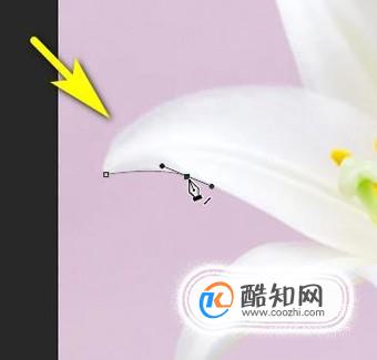 ps手机版基础教程新手入门,有哪些比较好的ps教程