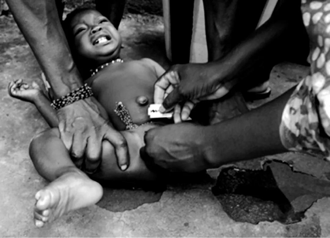 鑻忎腹椋庝織绂佸繉,鑻忎腹铏愬緟鍎跨