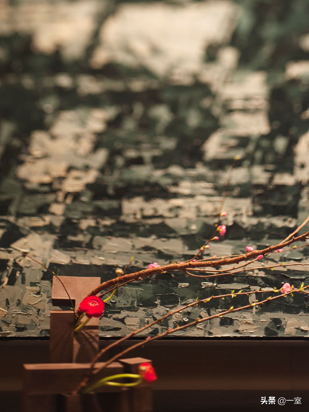 网红庭院植物搭配,网红绿植搭配技巧