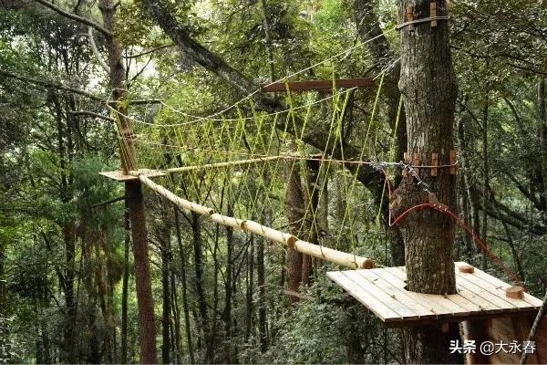 永春免费旅游景点大全一日游,永春山歌小镇旅游攻略