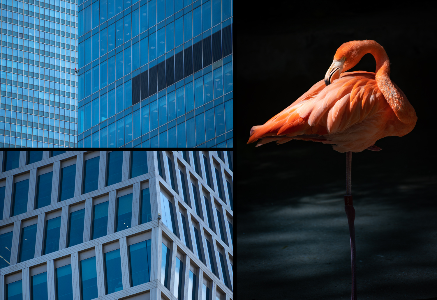 全画幅腾龙70-300,腾龙70-300e卡口