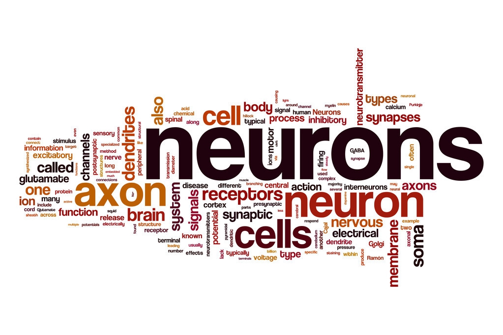 急诊！高血压急症/恶性高血压处理要点