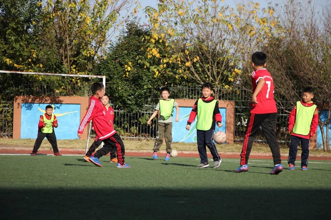 如何帮孩子选择适合的运动,怎么给小孩选择运动项目