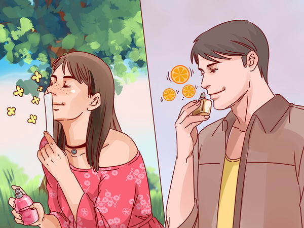 车载香水选择,怎么选购品牌香水