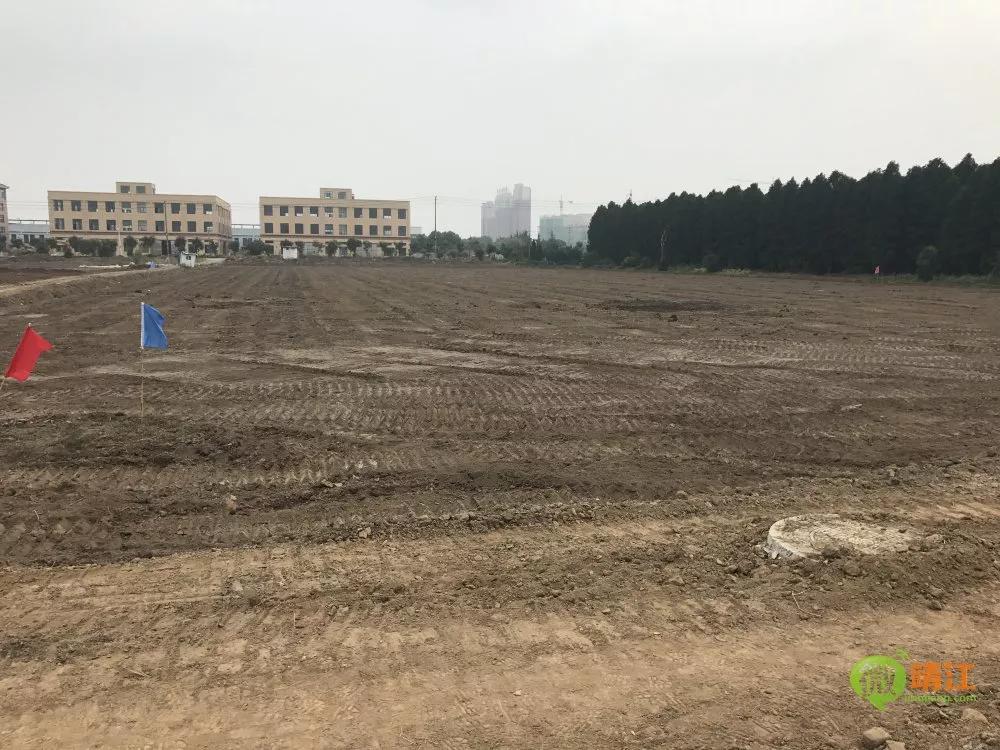 靖江第二过江隧道进度,江苏靖江过江隧道最新消息