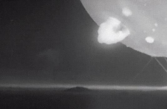 盘点被电鳗电死的人,鳄鱼咬住电鳗当场死亡