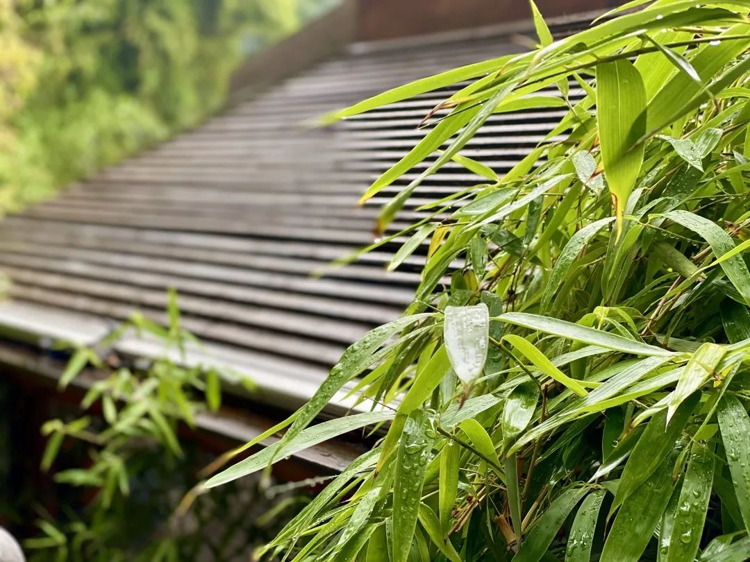 洛阳凤翔温泉准确地址,洛阳凤翔山庄温泉价目表