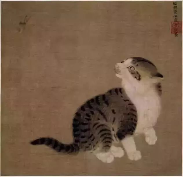 古代人是如何养猫的,古人养猫文化历史