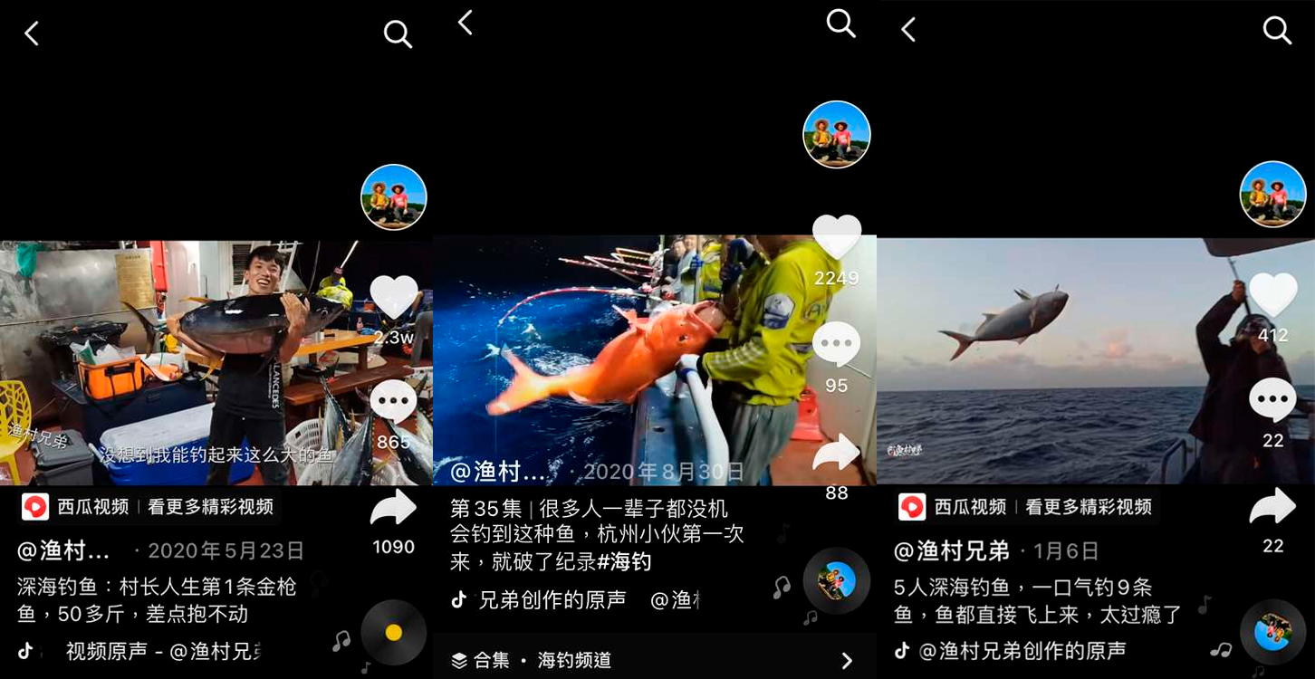 “乘风破浪”的渔村小哥哥海钓直播卖鱼，网友：刺身界的盲盒