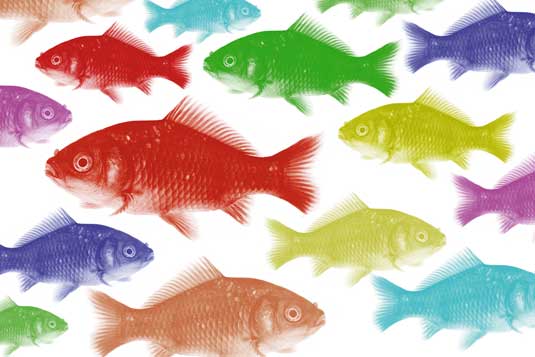 photoshop显卡加速设置,ps如何提升设计效率