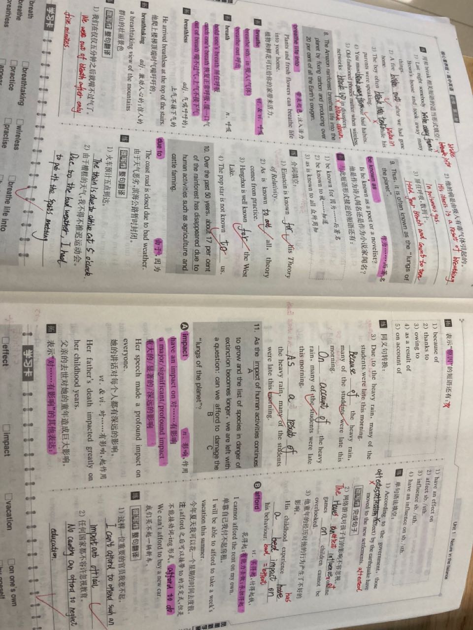 No.191 ,02-25首场春雨劲头齐体育课赏TED