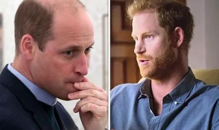 哈里退出王室对威廉有伤害吗,威廉和哈里为什么关系不和