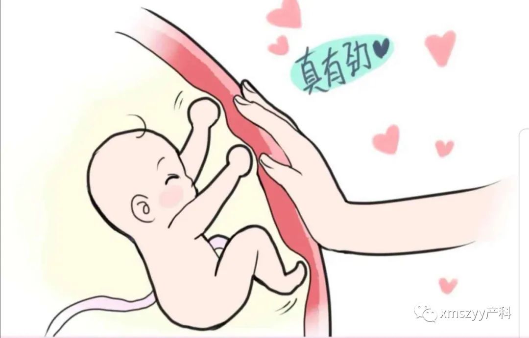 教你如何数胎动,怎么数胎动教你4个小方法