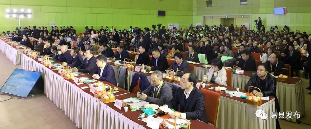 温县的铁棍山药,温县铁棍山药价格