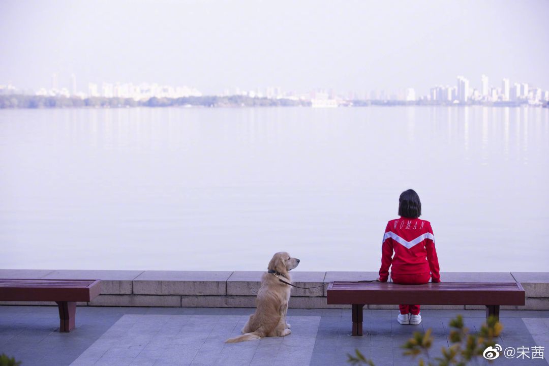 热巴脸崩,热巴的脸垮成啥样了