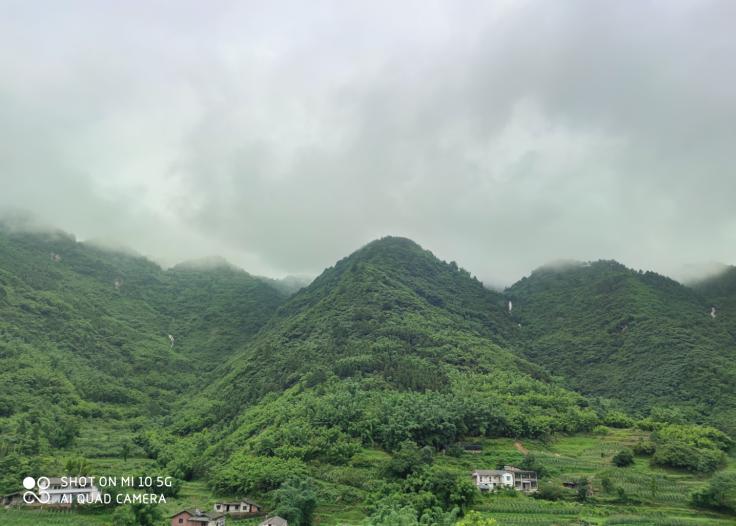 閲嶅簡涔℃潙缁垮寲缇庡寲寤鸿,缇庝附涔℃剚鍐滄潙缁垮寲缇庡寲