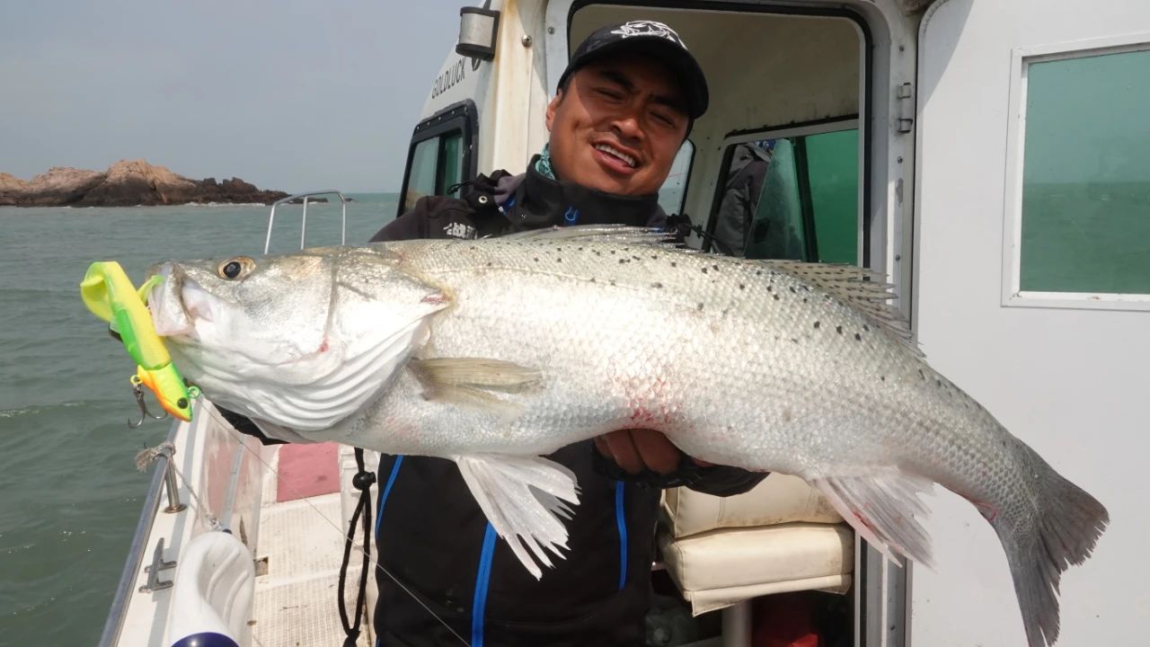 蓝旗鱼霸道路亚竿,蓝旗鱼路亚霸道