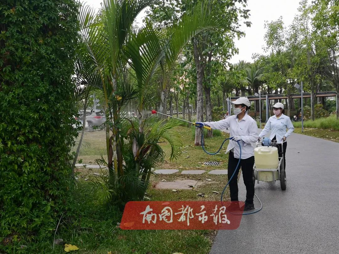 消杀蚊虫用什么药水,蚊虫消杀的药品有哪些